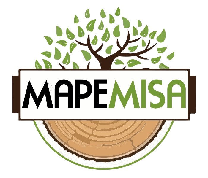 MAPEMISA